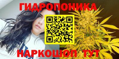 молекула духа Севастополь