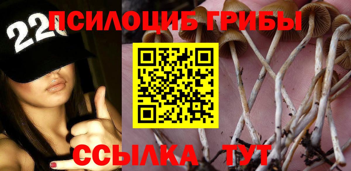 Галлюциногенные грибы Cubensis  Вход с VPN  наркота  Ростов-на-Дону 