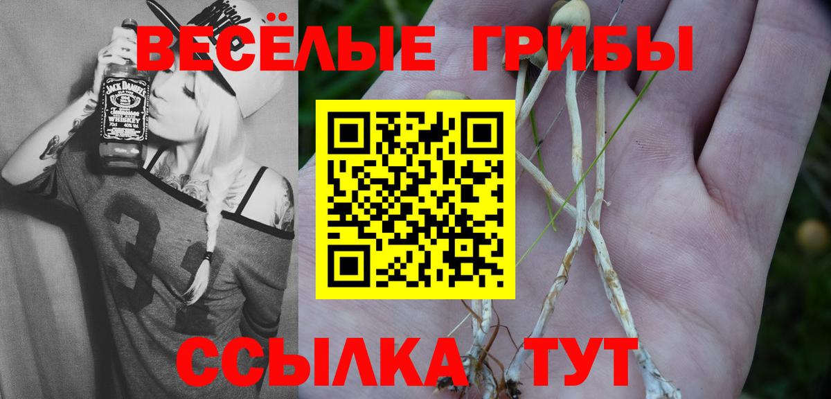Галлюциногенные грибы Psilocybe Ростов-на-Дону